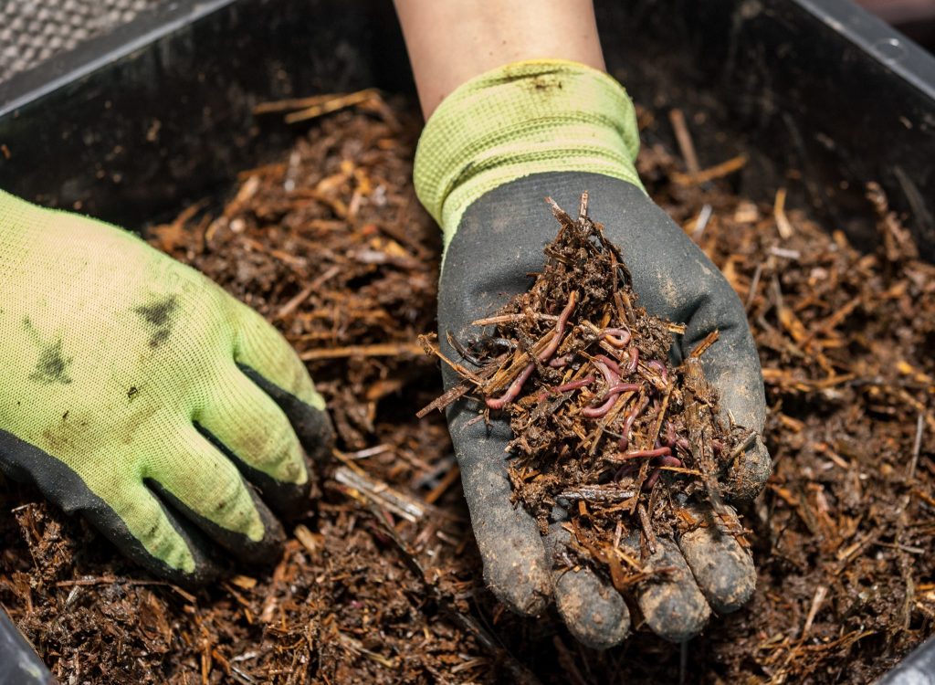 Dimana Penjual Bakteri Pengurai Limbah Sampah Organik Berkualitas di Saumlaki