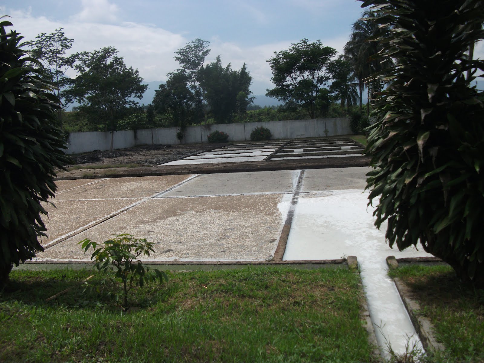 Dimana Suplier Bakteri Pengurai Limbah Kolam Air Tawar Murah di Prabumulih