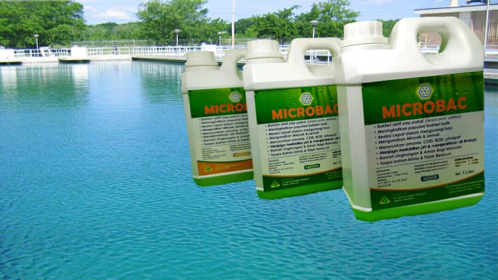 Aplikasi Bakteri Pengurai Limbah Amonia Berkualitas di Ambon
